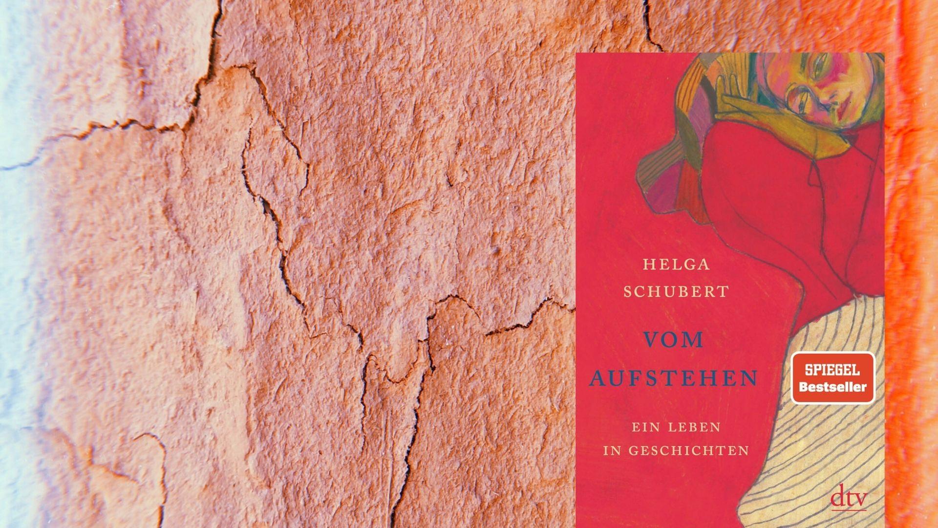 Buchcover zu Helga Schuberts Buch "Vom Aufstehen" Buchcover zu Helga Schuberts Buch "Vom Aufstehen"