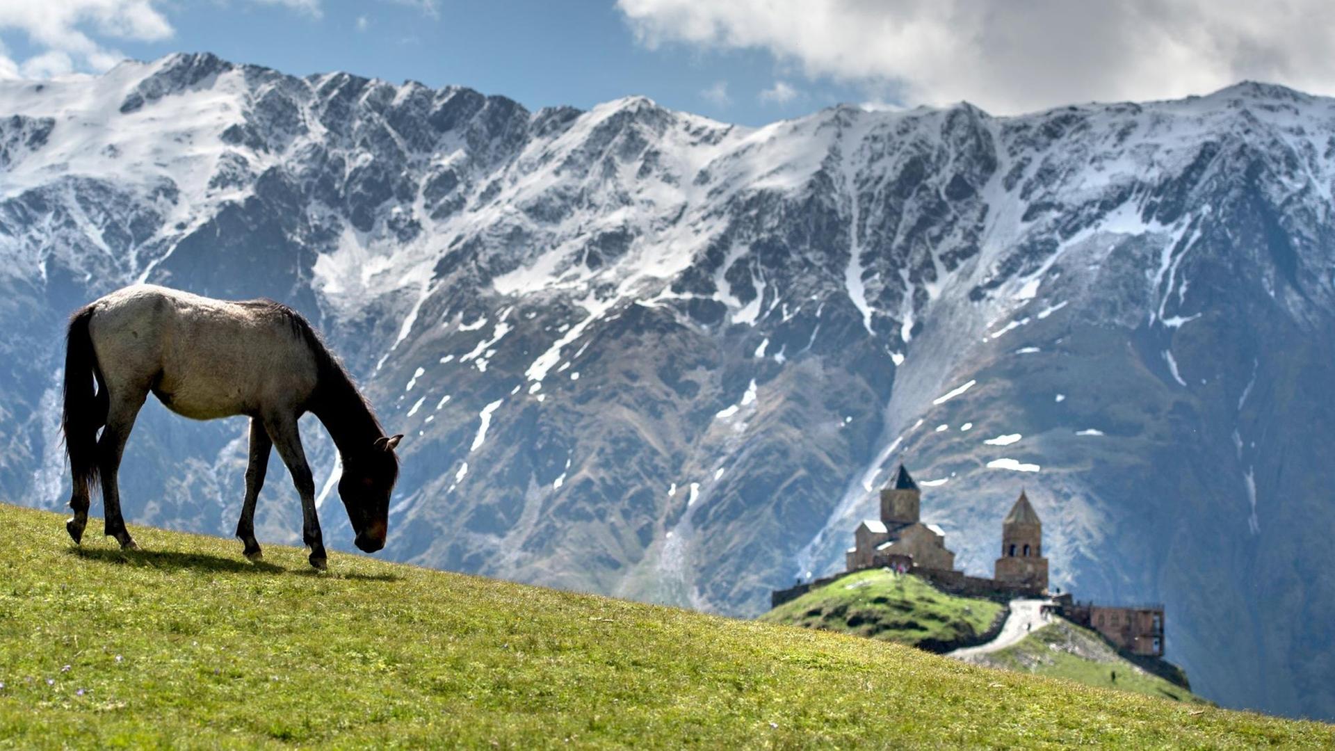 Ein Pferd weidet am georgischen Berg Kasbek, im Hintergrund ist die Gergetier Dreifaltigkeitskirche zu sehen Ein Pferd weidet am georgischen Berg Kasbek, im Hintergrund ist die Gergetier Dreifaltigkeitskirche zu sehen