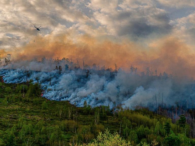 Waldbrand in Russland. Ein Hubschrauber lässt Wasser über brennenden Bäumen ab.