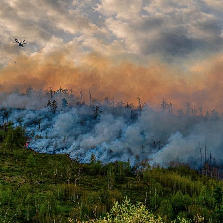 Waldbrand in Russland. Ein Hubschrauber lässt Wasser über brennenden Bäumen ab. 