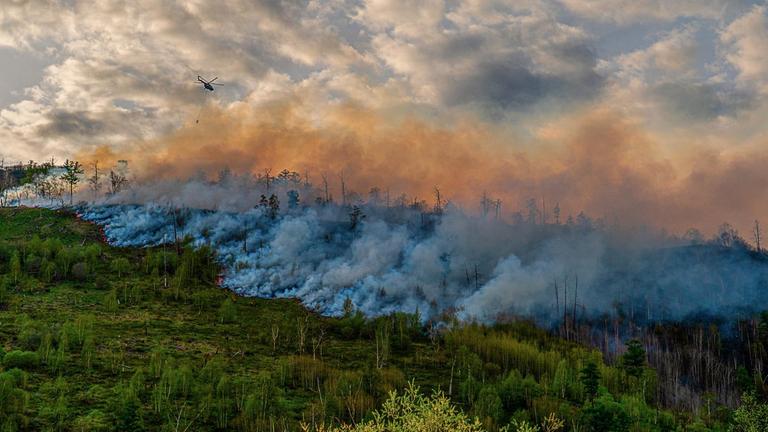 Waldbrand in Russland. Ein Hubschrauber lässt Wasser über brennenden Bäumen ab. 