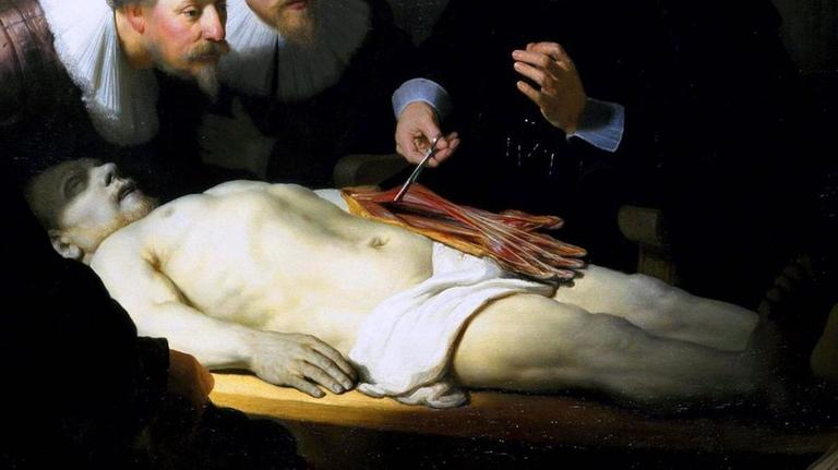 Die Anatomie des Dr. Tulp, Rembrandt van Rijn, 1632, Öl auf Leinwand, Mauritshuis, Den Haag Die Anatomie des Dr. Tulp, Rembrandt van Rijn, 1632, Öl auf Leinwand, Mauritshuis, Den Haag