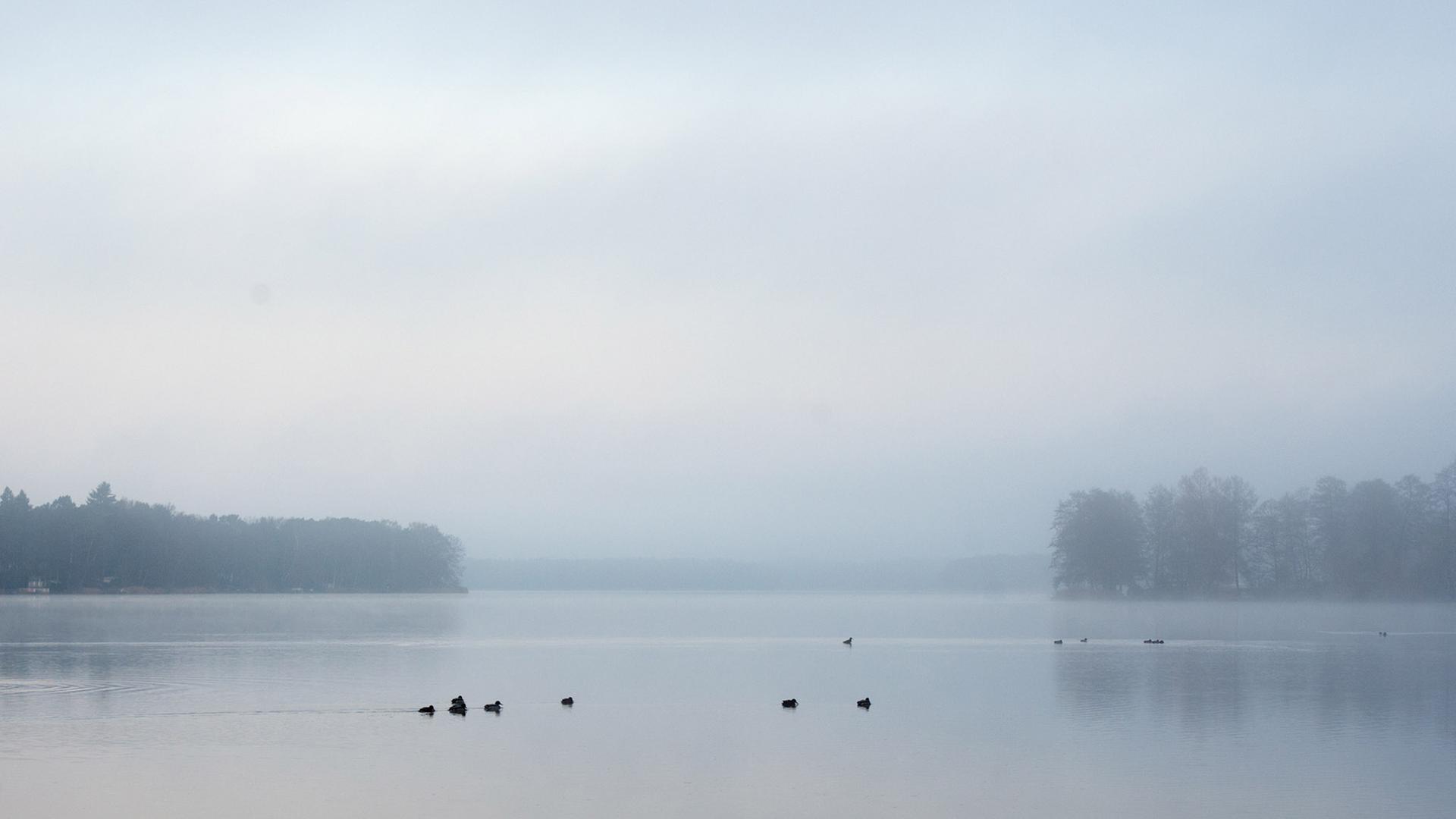 Der Nebel lichtet sich am 13.12.2013 über dem Motzener See bei Motzen (Brandenburg). Rund um Berlin war am Freitagmorgen dichter Nebel. Foto: Bernd von Jutrczenka/dpa Der Nebel lichtet sich am 13.12.2013 über dem Motzener See bei Motzen (Brandenburg). Rund um Berlin war am Freitagmorgen dichter Nebel. Foto: Bernd von Jutrczenka/dpa