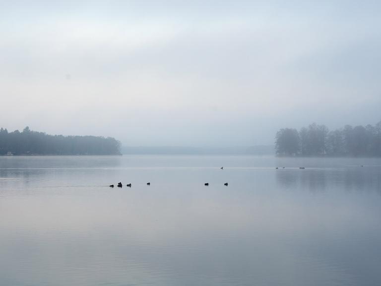 Der Nebel lichtet sich am 13.12.2013 über dem Motzener See bei Motzen (Brandenburg). Rund um Berlin war am Freitagmorgen dichter Nebel. Foto: Bernd von Jutrczenka/dpa