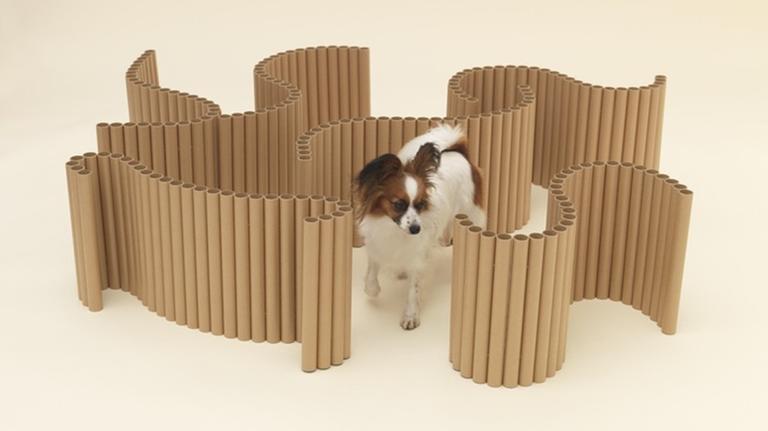 Fast wie in einem kleinen Labyrinth läuft ein kleiner Hund läuft zwischen gewellten Papierstücken umher.