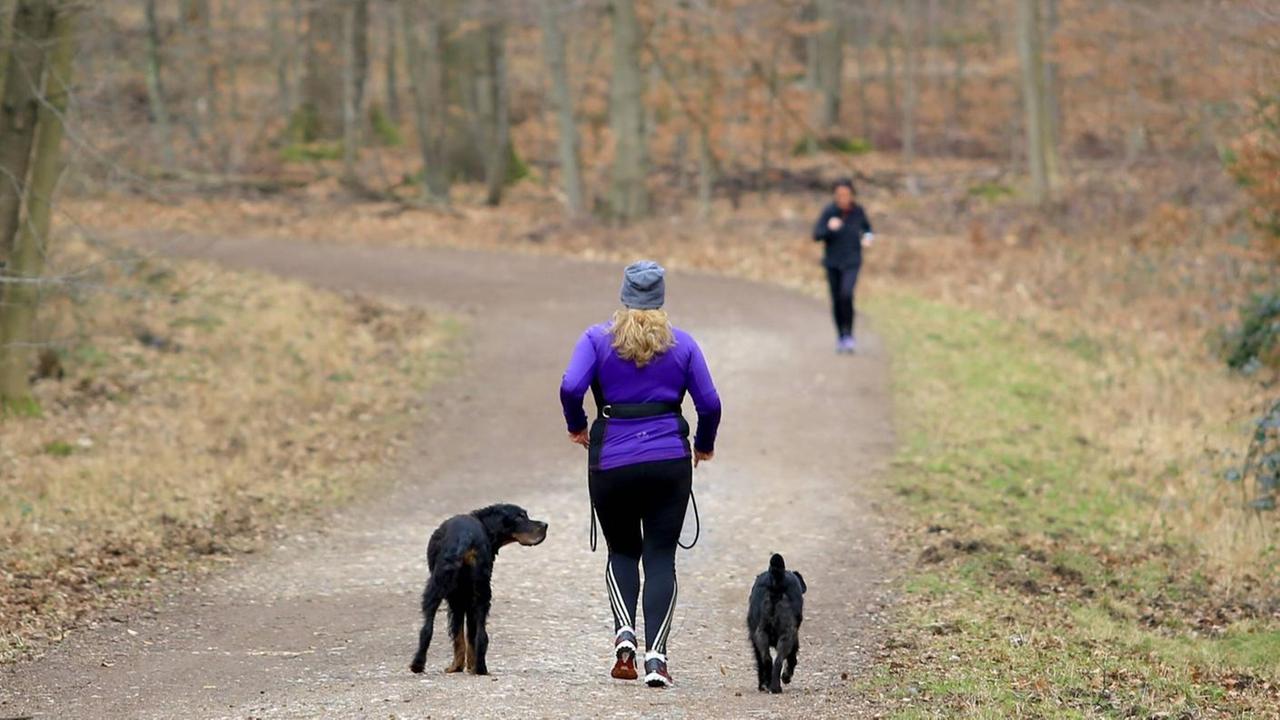 Einer Joggerin mit ihren beiden Hunden kommt auf einem Waldweg eine andere laufende Frau entgegen.