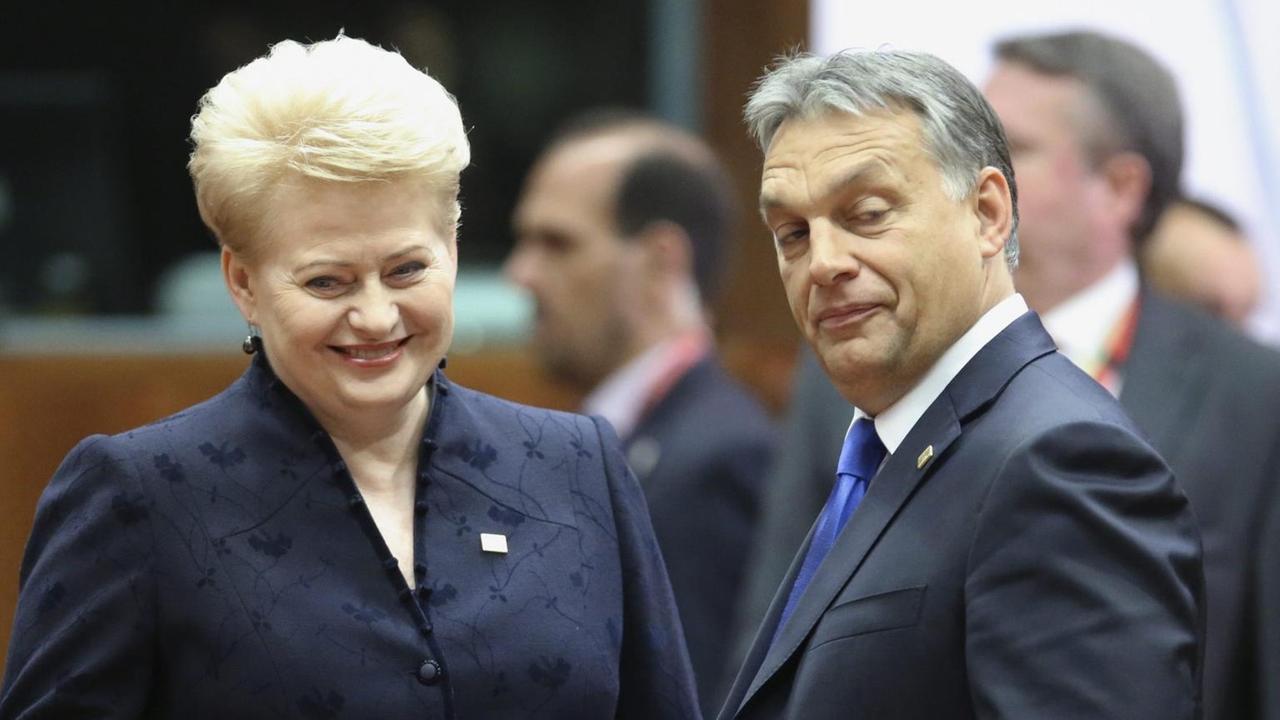 Die Regierungschefs Litauens und Ungarns, Dalia Grybauskaite und Viktor Orban. Die Regierungschefs Litauens und Ungarns, Dalia Grybauskaite und Viktor Orban.