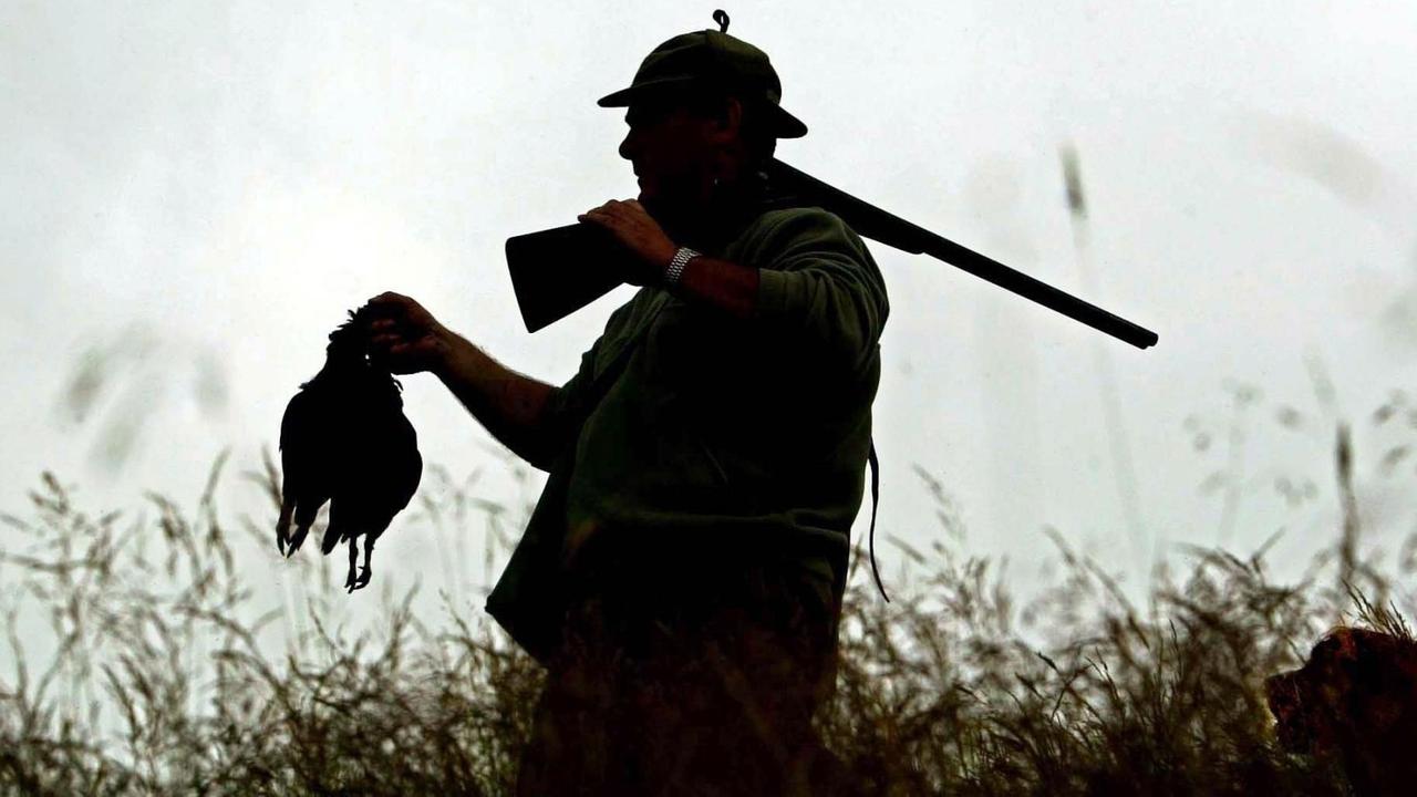 Jagdaufseher Alex Hogg steht am 12.8.2003 mit geschultertem Gewehr und zwei erlegten Moorhühnern in einem Gelände bei Eddleston in Schottland. Rechts sein Jagdhund. An diesem Tag begann in England und Schottland die traditionelle Jagdsaison auf Moorhühner. Jagdaufseher Alex Hogg steht am 12.8.2003 mit geschultertem Gewehr und zwei erlegten Moorhühnern in einem Gelände bei Eddleston in Schottland. Rechts sein Jagdhund. An diesem Tag begann in England und Schottland die traditionelle Jagdsaison auf Moorhühner.