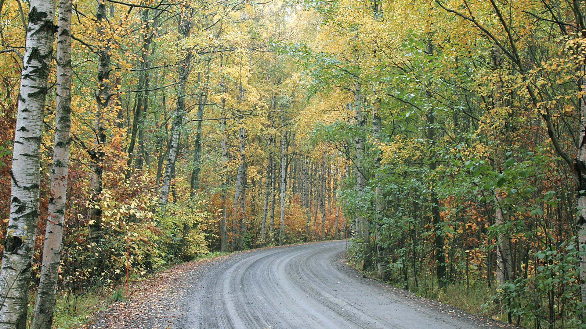 Herbstliche Landstraße in Finnland Herbstliche Landstraße in Finnland