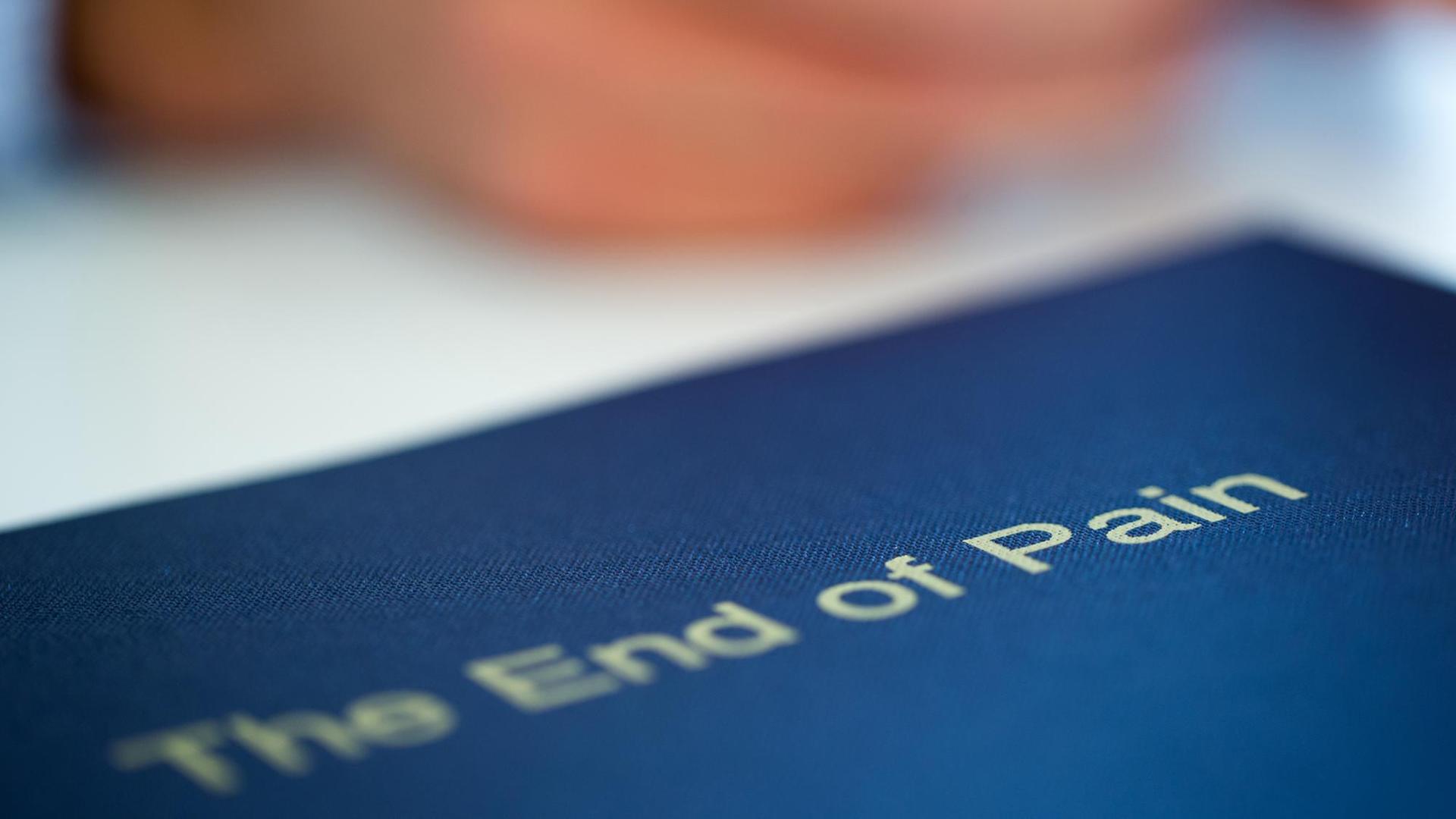 Das Buch "The End of Pain" Das Buch "The End of Pain"