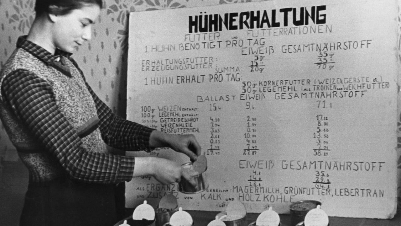 Eine junge Frau füllt Becher mit Hühnerfutter auf. Eine junge Frau füllt Becher mit Hühnerfutter auf.