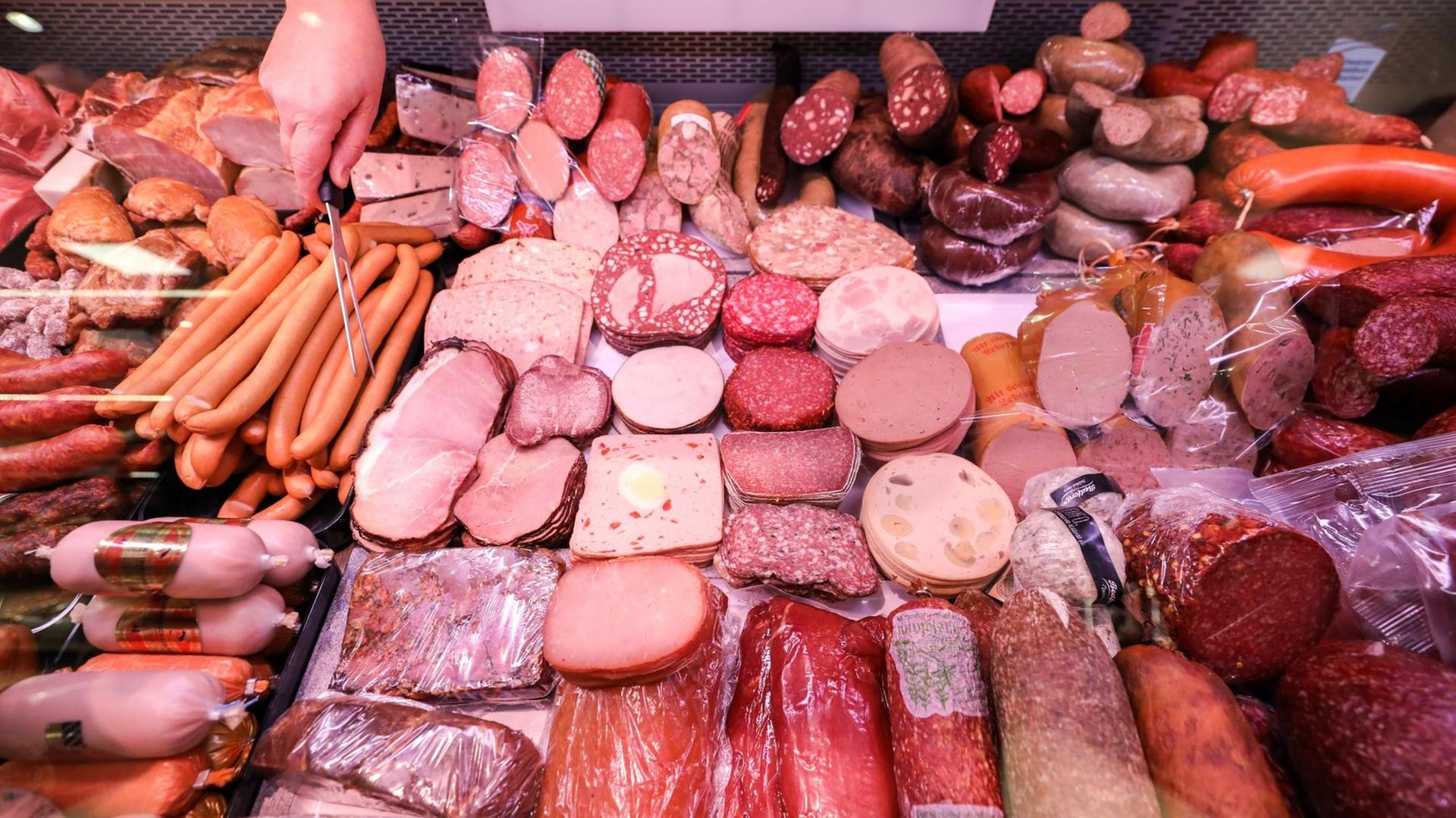 Verschiedene Sorten Wurst liegen in einer Fleischtheke in einem Supermarkt. Verschiedene Sorten Wurst liegen in einer Fleischtheke in einem Supermarkt.