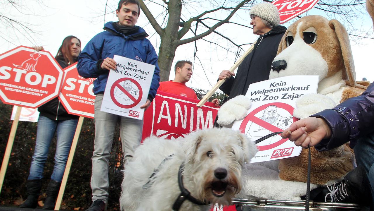 Peta-Aktivisten demonstrieren 2012 in Duisburg vor der Zoohandlung Zajac gegen den Verkauf von Hunden in Zoohandlungen. Peta-Aktivisten demonstrieren 2012 in Duisburg vor der Zoohandlung Zajac gegen den Verkauf von Hunden in Zoohandlungen.