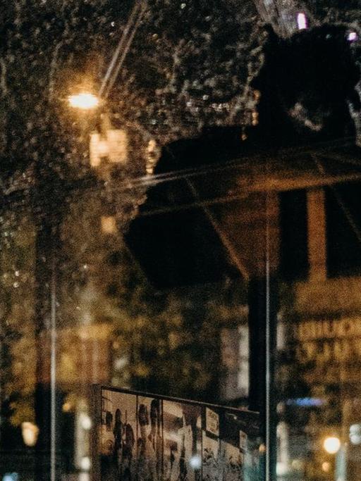 Eine zerbrochene Fensterscheibe gibt den Blick frei auf die Straße.