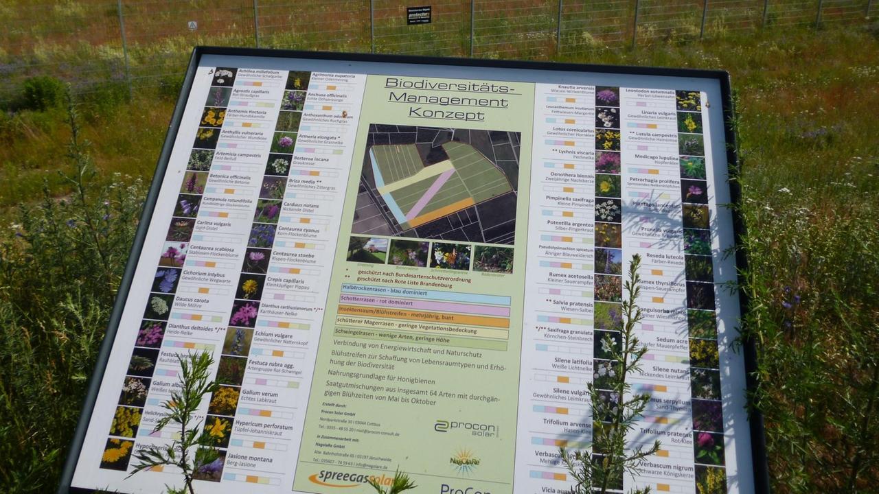 Eine Schautafel erklärt das Konzept des Biodiversitätsmanagements. Eine Schautafel erklärt das Konzept des Biodiversitätsmanagements.
