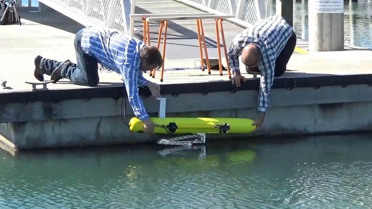 Forscher setzen einen gelben länglichen Roboter ins Wasser,