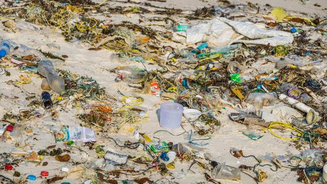 Angeschwemmter Müll an einem Strand in Kambodscha
