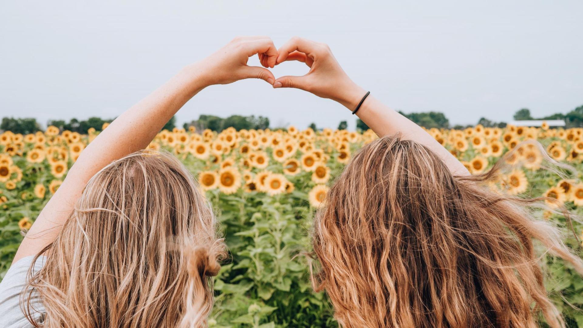 Zwei Mädchen sind von hinten in einem Sonnenblumenfeld zu sehen, ihre Hände formen zusammen ein Herz. Zwei Mädchen sind von hinten in einem Sonnenblumenfeld zu sehen, ihre Hände formen zusammen ein Herz.