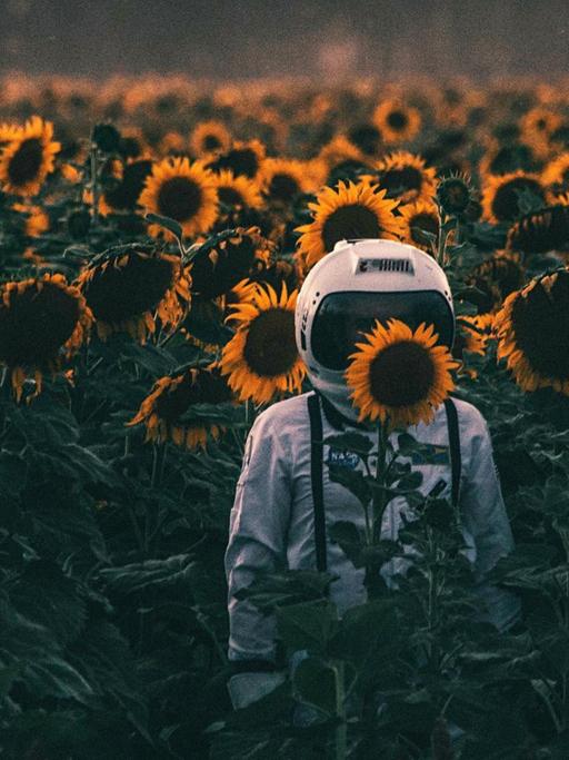 Ein Astronaut steht in einem Sonnenblumenfeld.