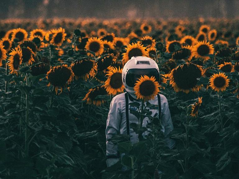 Ein Astronaut steht in einem Sonnenblumenfeld.