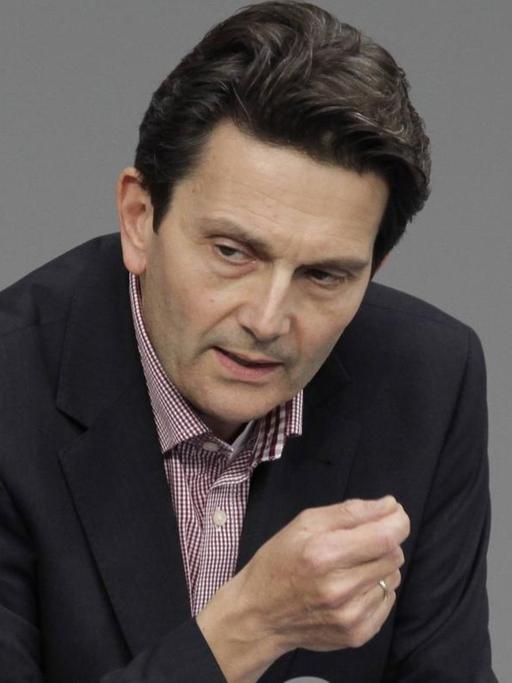 Rolf Mützenich (SPD)
