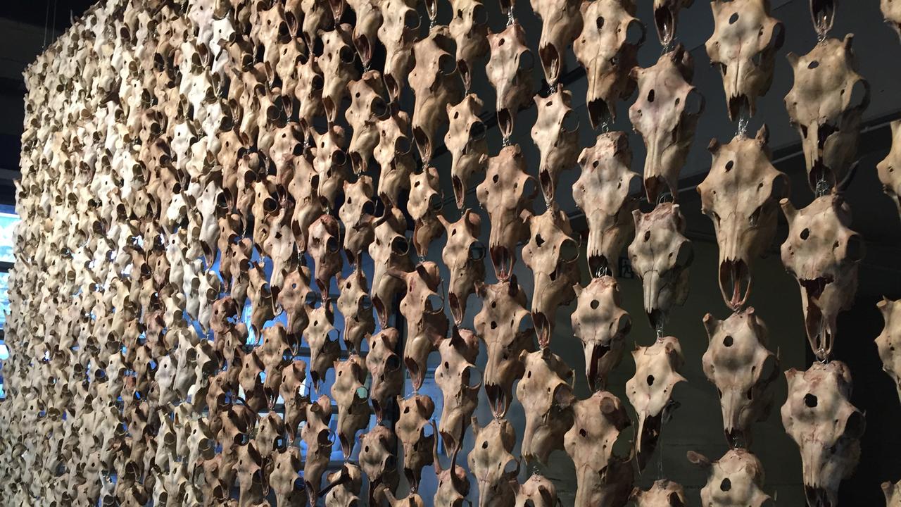 Rentierschädelvorhang von Máret Ánne Sara auf der documenta 14 in Kassel Rentierschädelvorhang von Máret Ánne Sara auf der documenta 14 in Kassel