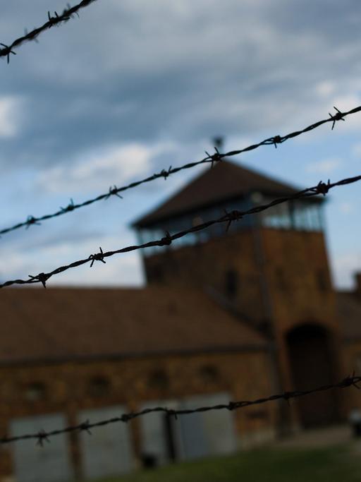 Auschwitz-Birkenau war das größte der deutschen Vernichtungslager.