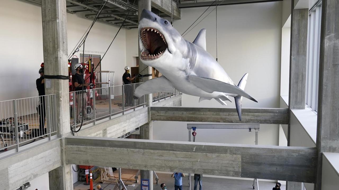 "Jaws" Installation mit dem Modell eine weißen Hais im neuen Academy Museum of Motion Pictures