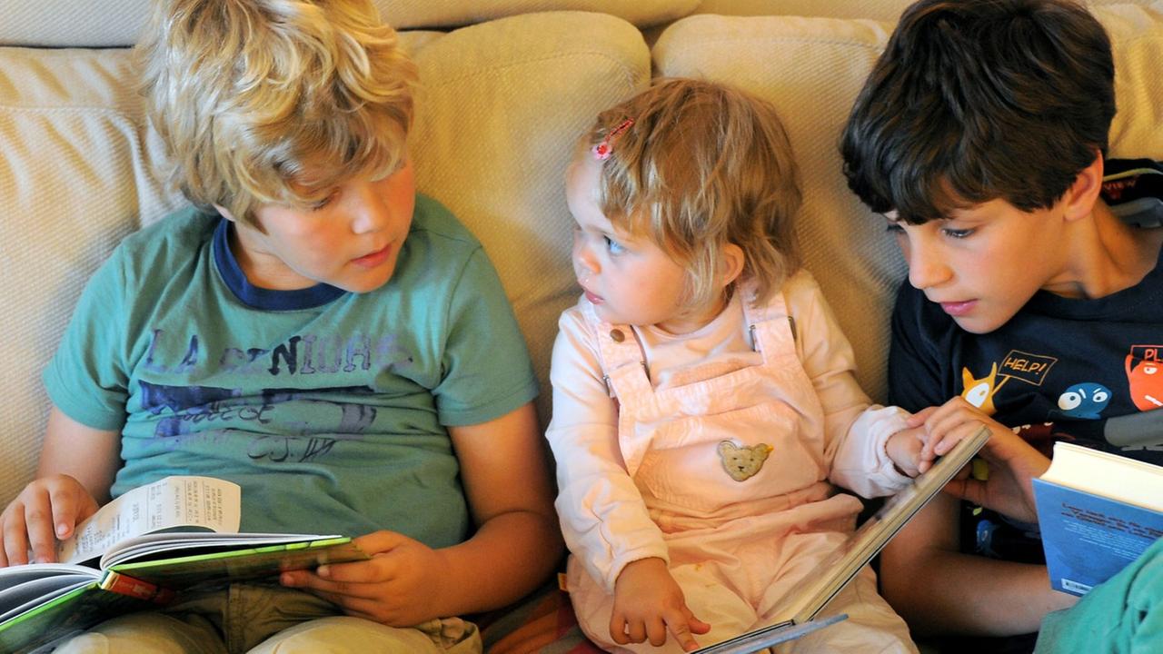 Während zwei sieben und elf Jahre alte Jungen (l, r) Bücher lesen, schaut sich ein fast zwei Jahre altes Kind ein Bilderbuch an, aufgenommen am 21.07.2012. Während zwei sieben und elf Jahre alte Jungen (l, r) Bücher lesen, schaut sich ein fast zwei Jahre altes Kind ein Bilderbuch an, aufgenommen am 21.07.2012.