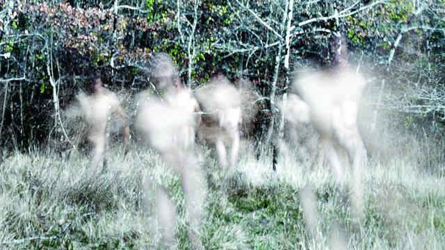 Vor dem Hintergrund von spärlich grünen Birken sieht man die verschwommenen, weißen Umrisse unbekleideter Personen.