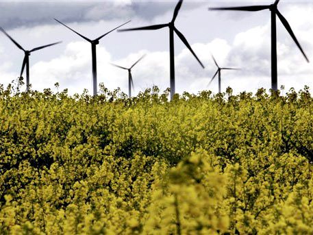 Windkraftanlagen hinter einem Rapsfeld bei Rendsburg. Windkraftanlagen hinter einem Rapsfeld bei Rendsburg.
