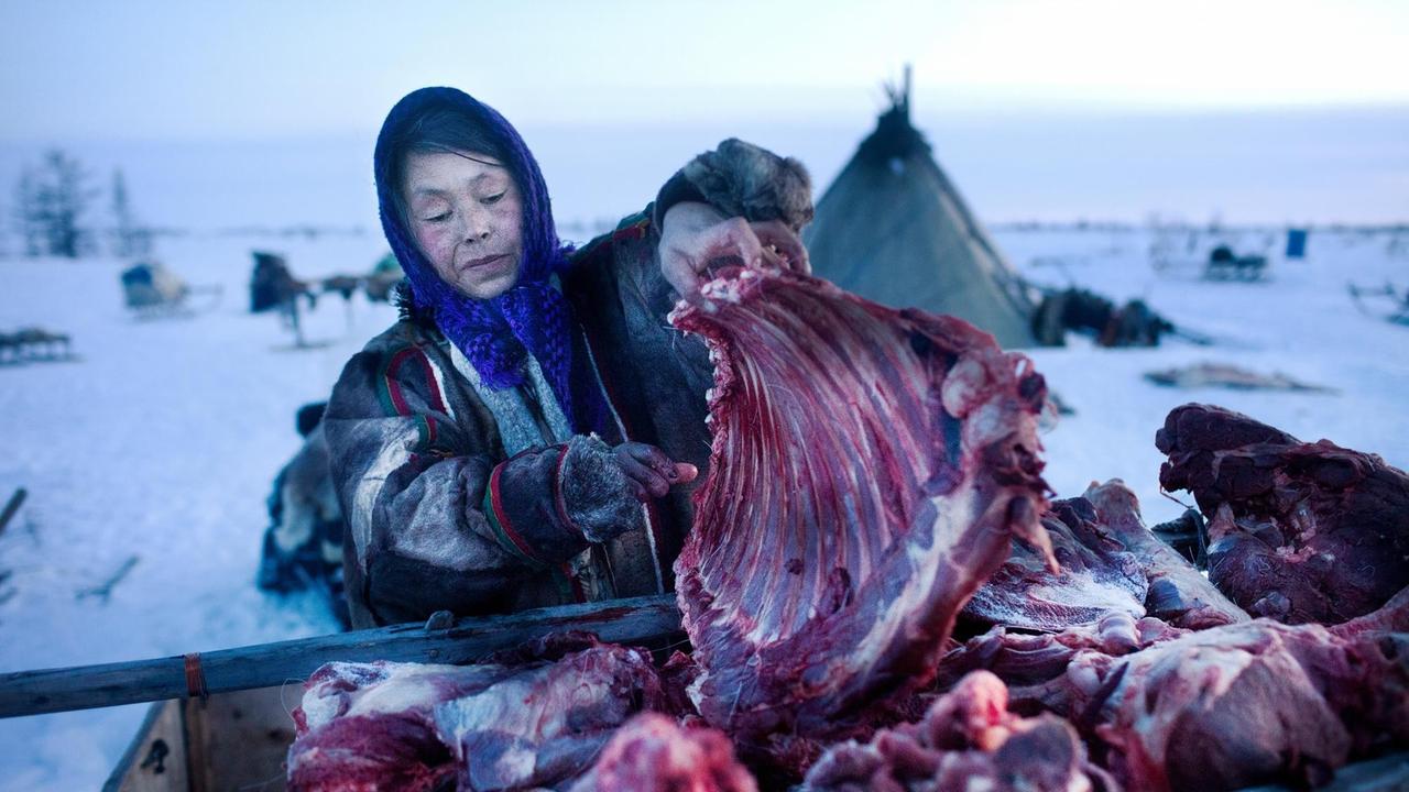 Die Nenzin Galina beim Zerteilen von Fleisch Die Nenzin Galina beim Zerteilen von Fleisch