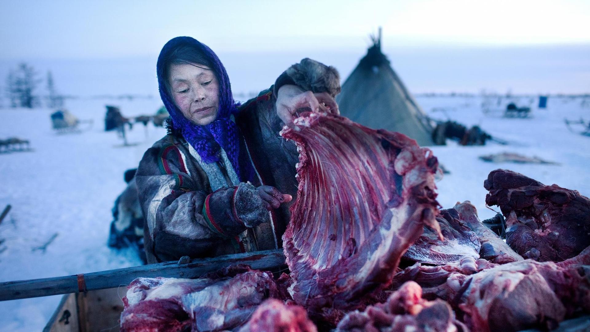 Die Nenzin Galina beim Zerteilen von Fleisch Die Nenzin Galina beim Zerteilen von Fleisch