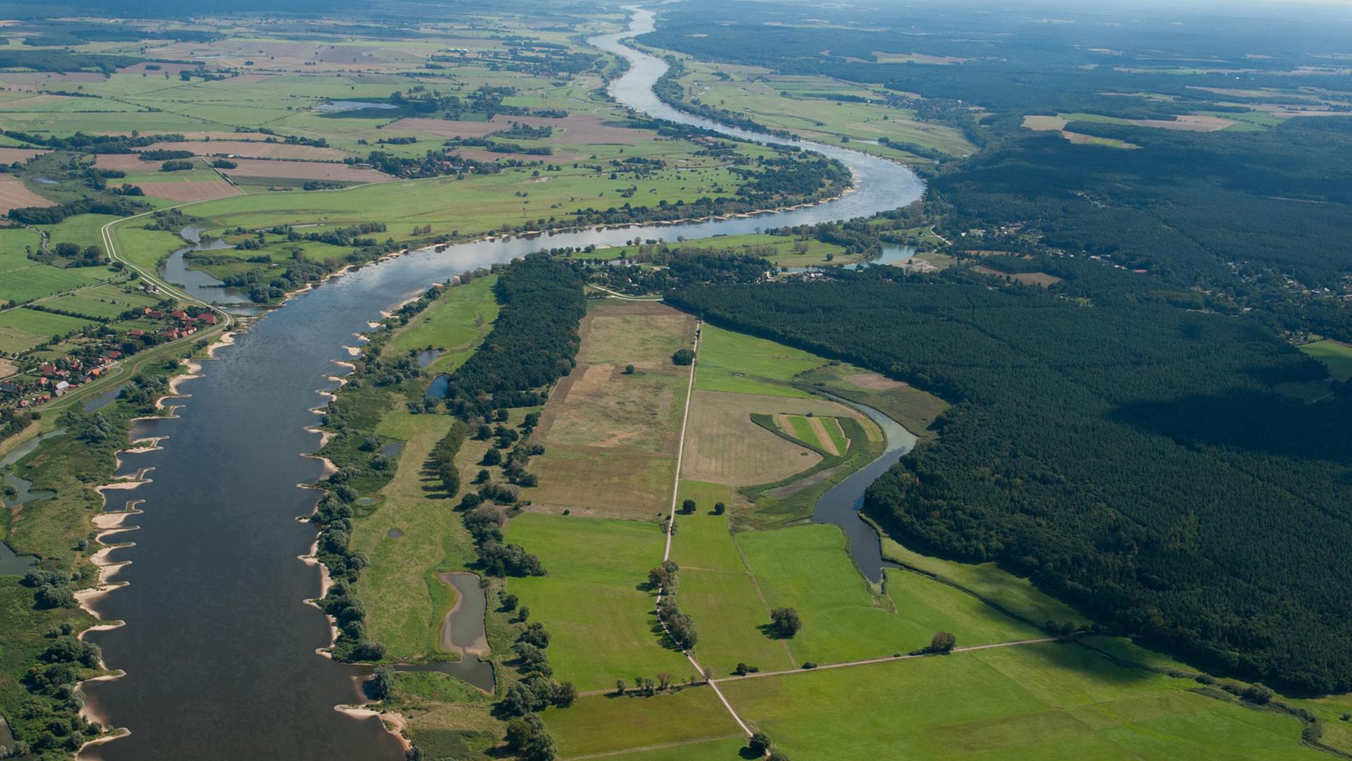 Die Elbe aufgenommen am 27.08.2014 bei Bleckede (Niedersachsen). Die Elbe aufgenommen am 27.08.2014 bei Bleckede (Niedersachsen).