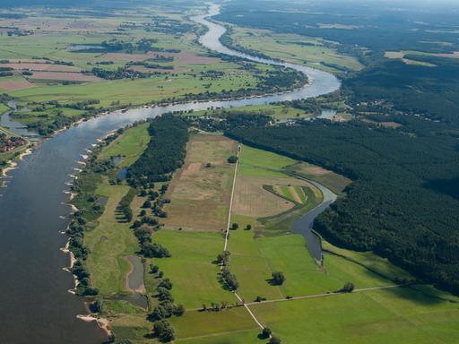Die Elbe aufgenommen am 27.08.2014 bei Bleckede (Niedersachsen).