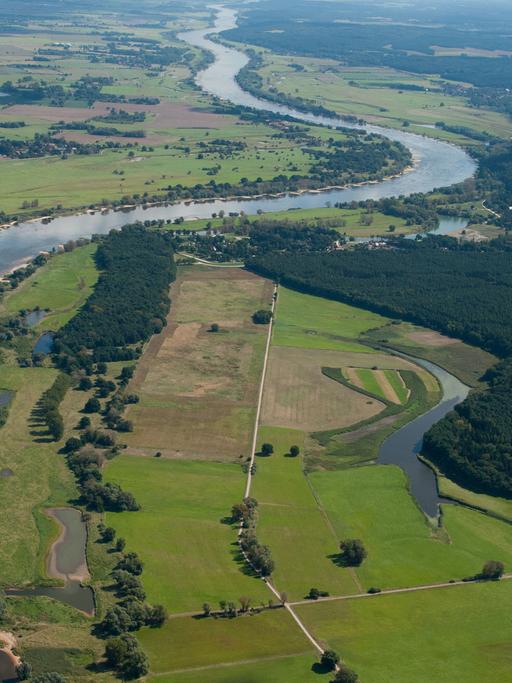 Die Elbe aufgenommen am 27.08.2014 bei Bleckede (Niedersachsen).