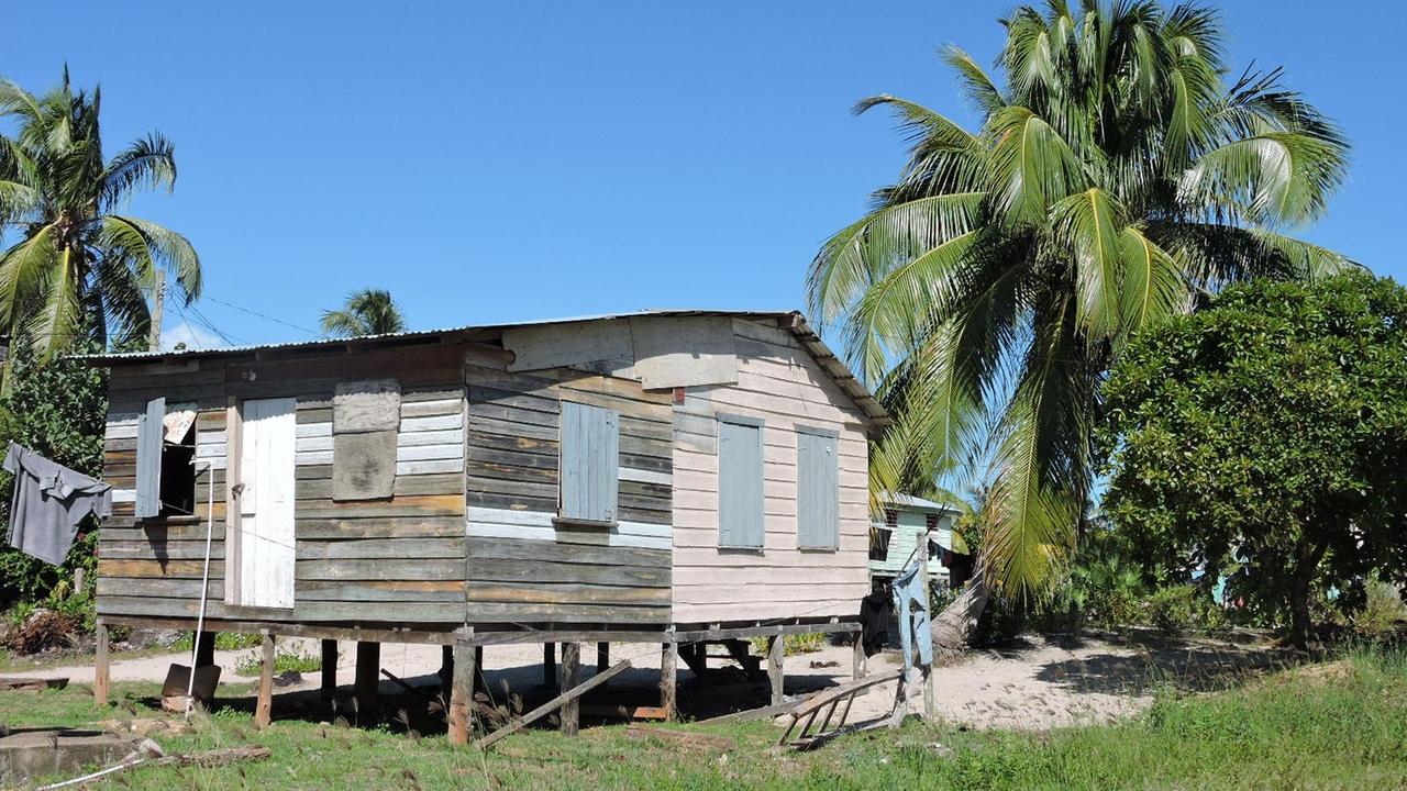 Ein Wohnhaus aus Holz auf Stelzen auf einer Wiese neben Palmen unter blauem Himmel. Ein Wohnhaus aus Holz auf Stelzen auf einer Wiese neben Palmen unter blauem Himmel.