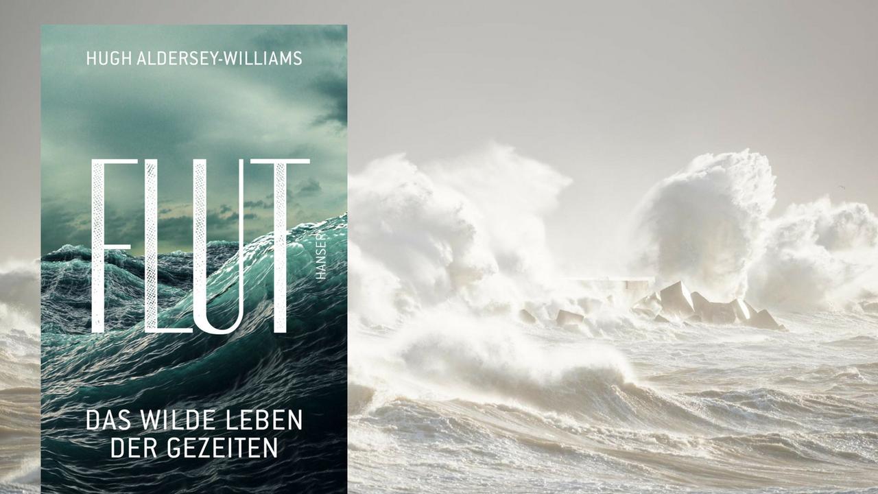 Buchcover "Flut" von Hugh Aldersey-Williams Buchcover "Flut" von Hugh Aldersey-Williams