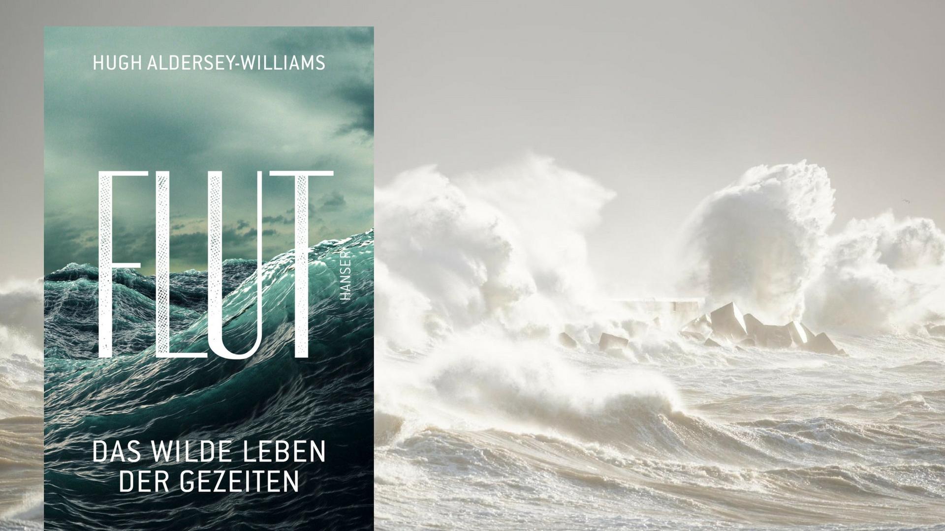 Buchcover "Flut" von Hugh Aldersey-Williams Buchcover "Flut" von Hugh Aldersey-Williams