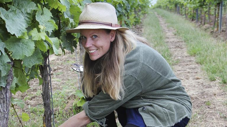 Winzerin Hanneke Schönhals mit Hut, an einer Weinrebe kniend. Winzerin Hanneke Schönhals mit Hut, an einer Weinrebe kniend.