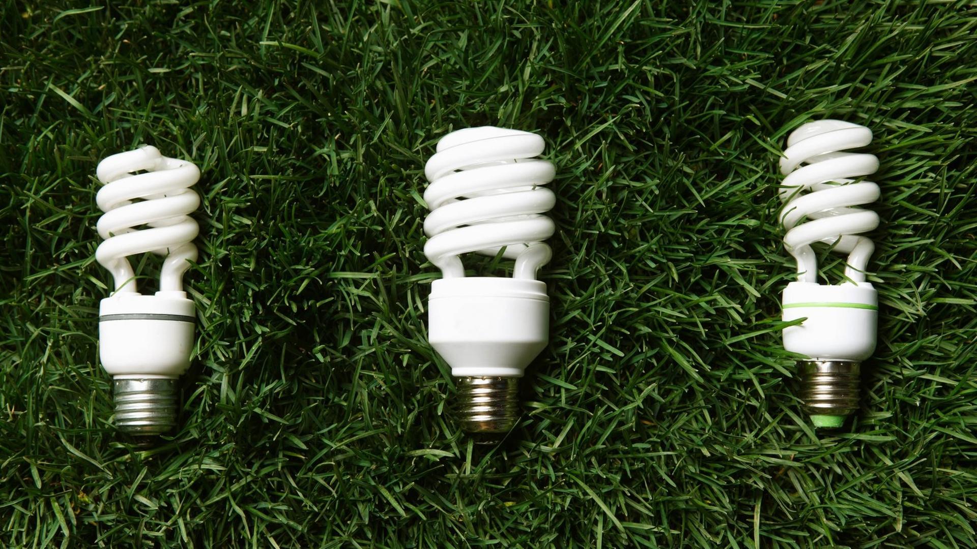 Drei Energiesparlampen liegen auf einer Wiese. Drei Energiesparlampen liegen auf einer Wiese.