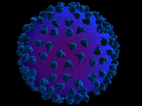 HIV-Bestandteile sollen das Immunsystem gegen AIDS trainieren. HIV-Bestandteile sollen das Immunsystem gegen AIDS trainieren.