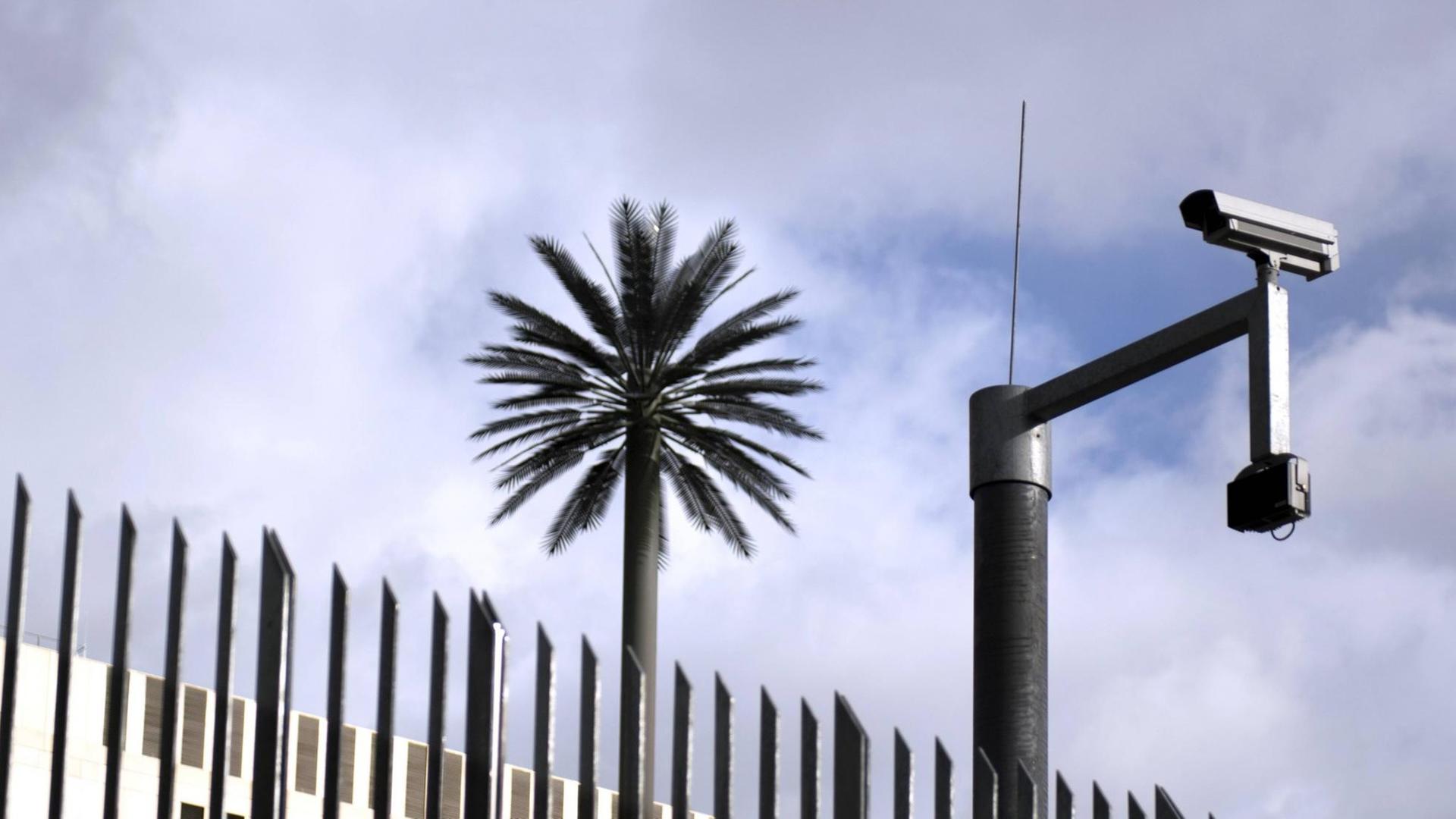 Auf der Rückseite des Gebäudes stehen 22 Meter hohe künstliche Palmen, die der Künstler Ulrich Brüschke entworfen hat.