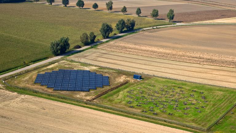 Die LOFAR-Station in Unterweilenbach Die LOFAR-Station in Unterweilenbach