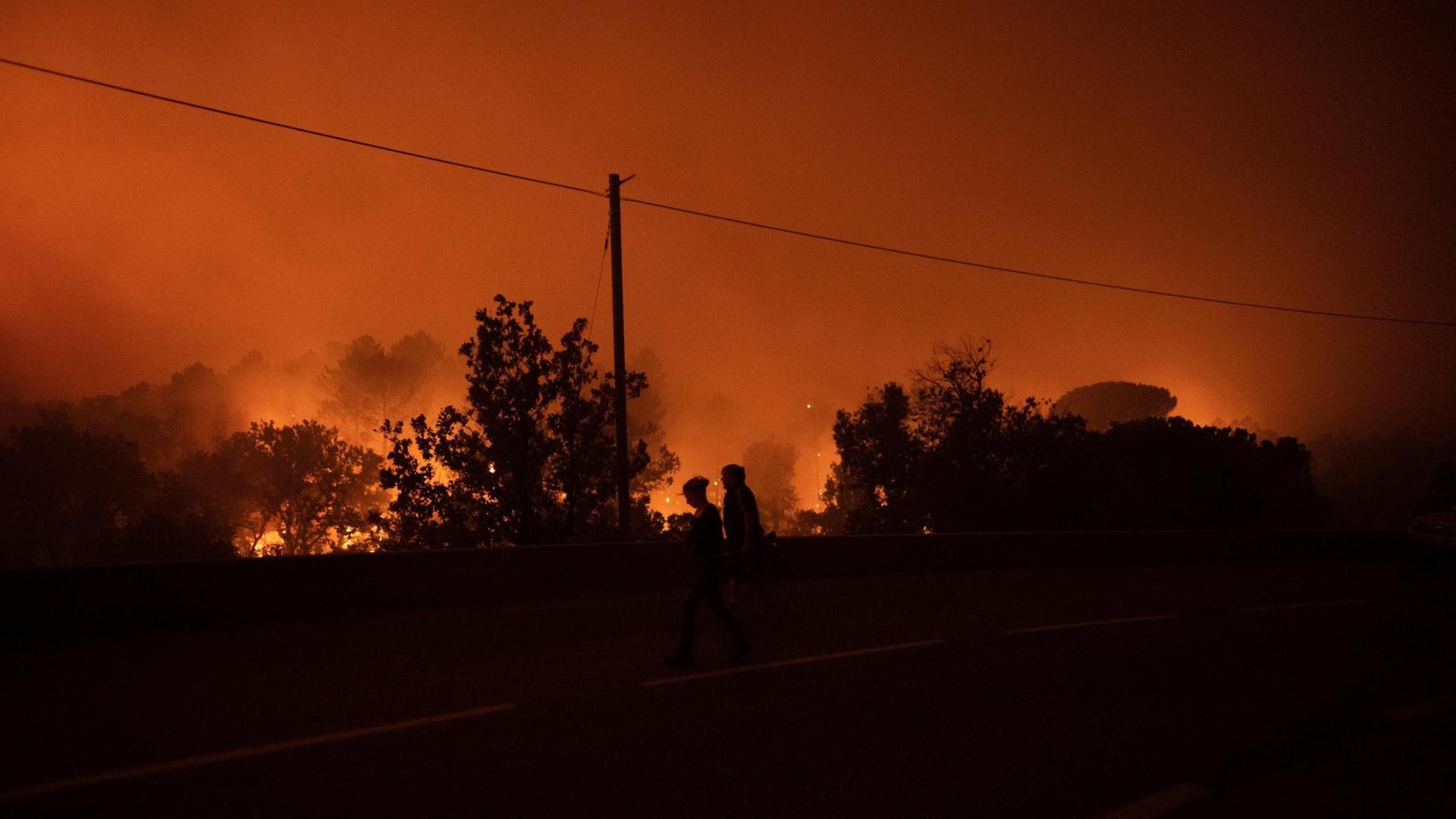 Hohe Flammen in einem Wald. Der Himmel ist rot. Hohe Flammen in einem Wald. Der Himmel ist rot.