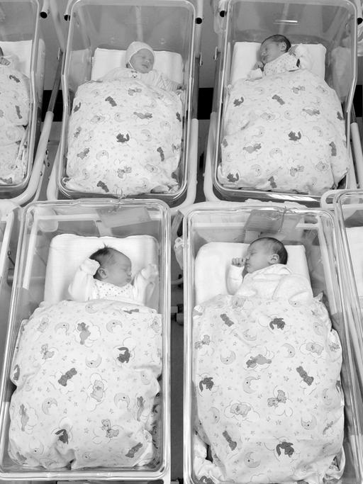 Für ein Foto liegen viele Babys zusammen auf der Neugeborenenstation im Krankenhaus St. Elisabeth und St. Barbara in Halle in ihren Bettchen