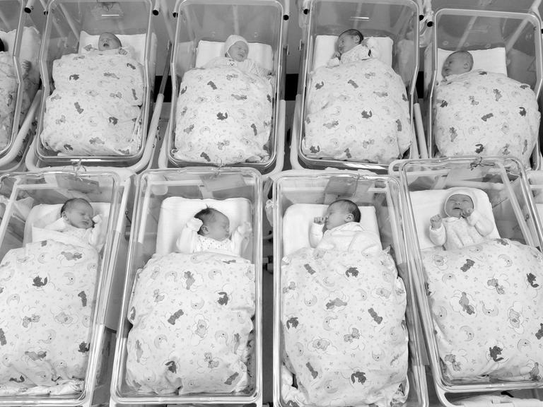 Für ein Foto liegen viele Babys zusammen auf der Neugeborenenstation im Krankenhaus St. Elisabeth und St. Barbara in Halle in ihren Bettchen