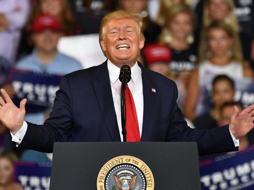 Das Bild zeigt den US-Präsidenten Donald Trump auf einer Wahlkampf-Veranstaltung in Greenville, North Carolina.