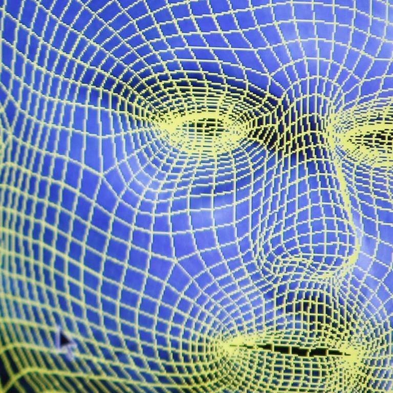 Ein 3D Modell eines männlichen Kopfes, anhand biometrischer Daten