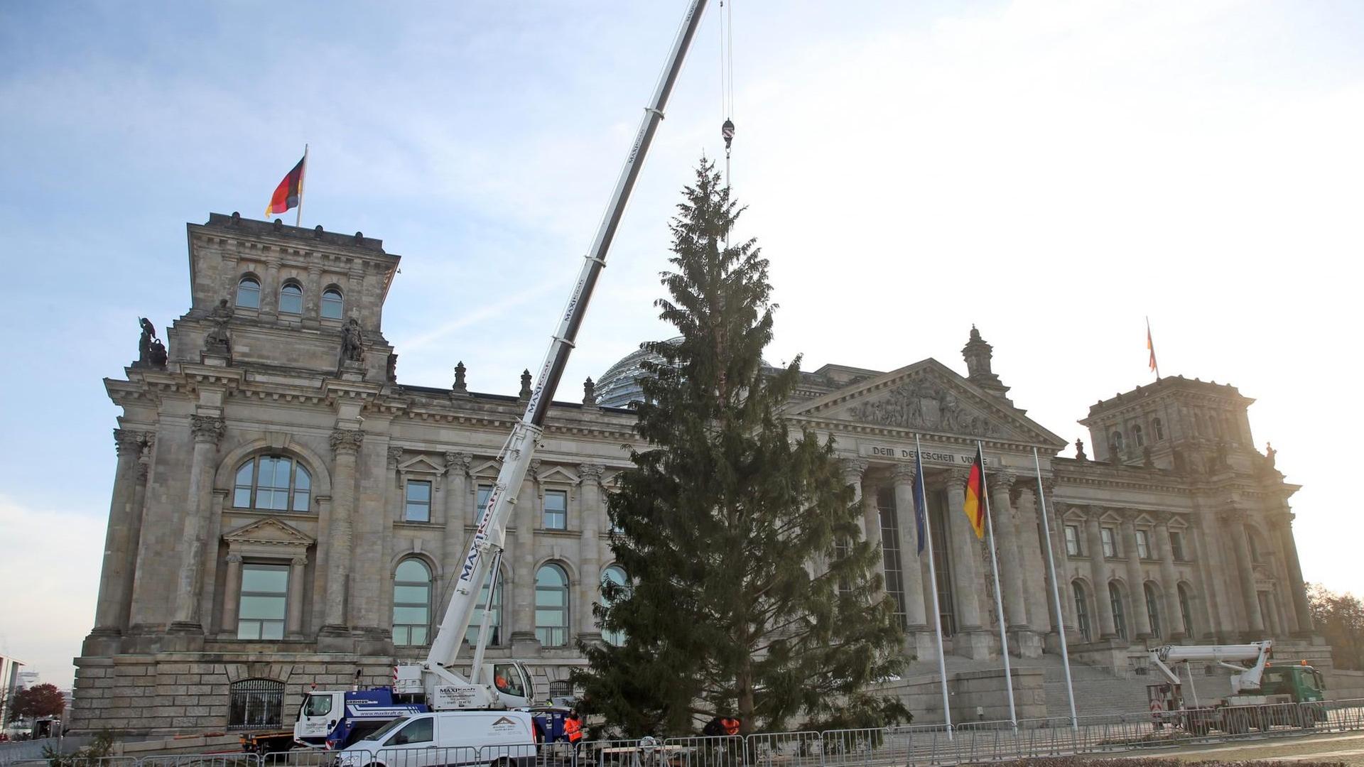 24.11.2020, Berlin: Mit einem Kran wird vor dem Reichstagsgebäude, dem Sitz des Deutschen Bundestages, der diesjährige Weihnachtsbaum aufgestellt. Foto: Wolfgang Kumm/dpa | Verwendung weltweit 24.11.2020, Berlin: Mit einem Kran wird vor dem Reichstagsgebäude, dem Sitz des Deutschen Bundestages, der diesjährige Weihnachtsbaum aufgestellt. Foto: Wolfgang Kumm/dpa | Verwendung weltweit